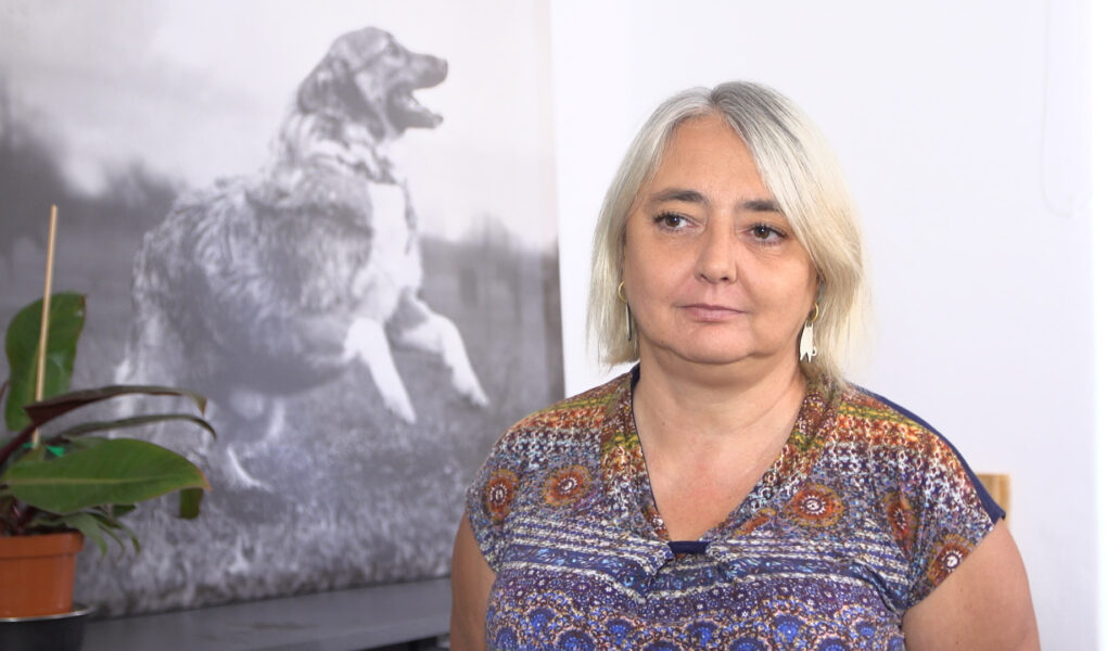 viva-chipowanie-foto Czipowanie pozwala o jedną czwartą zmniejszyć bezdomność psów i kotów. UE chce wprowadzić taki obowiązek